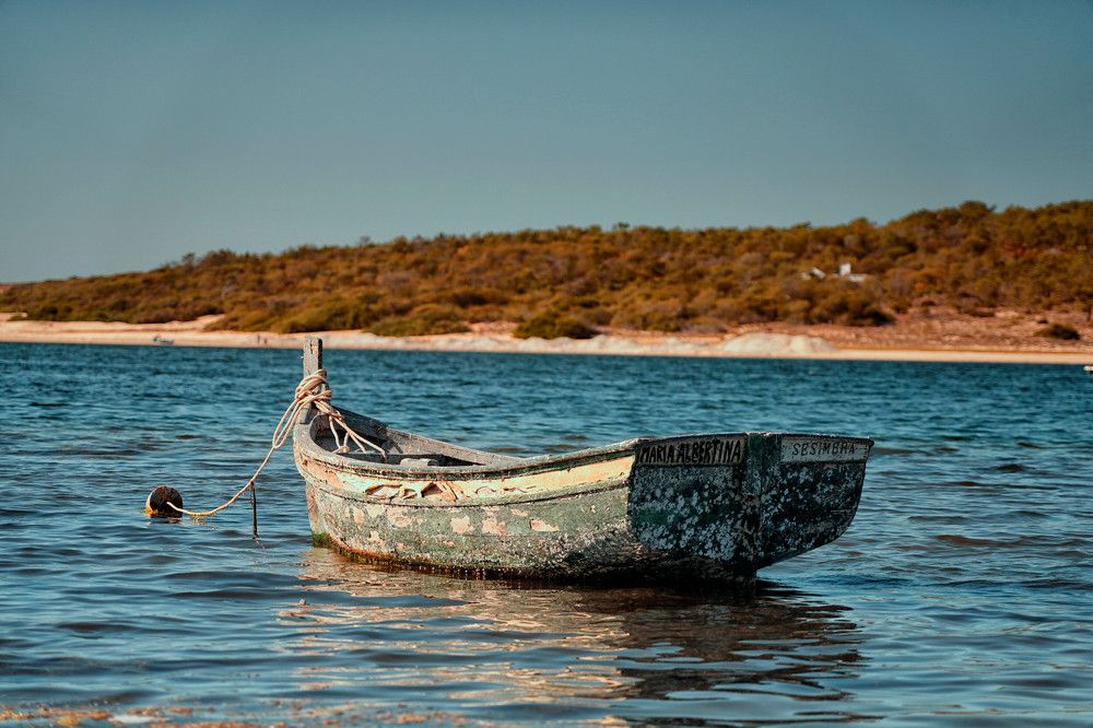 Photograph by Mário C.