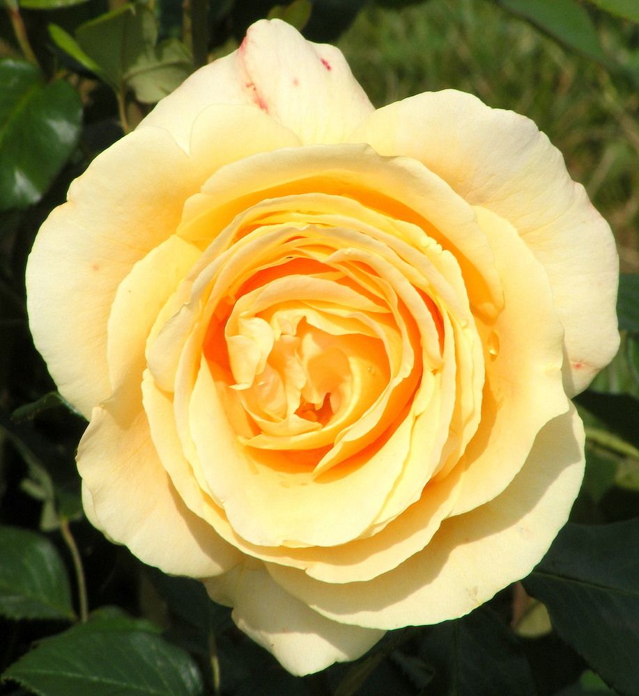 Photograph by Pjotr Alekseev