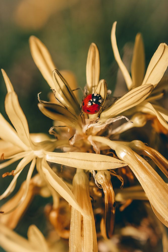 Фотография автора Татьяна Тур