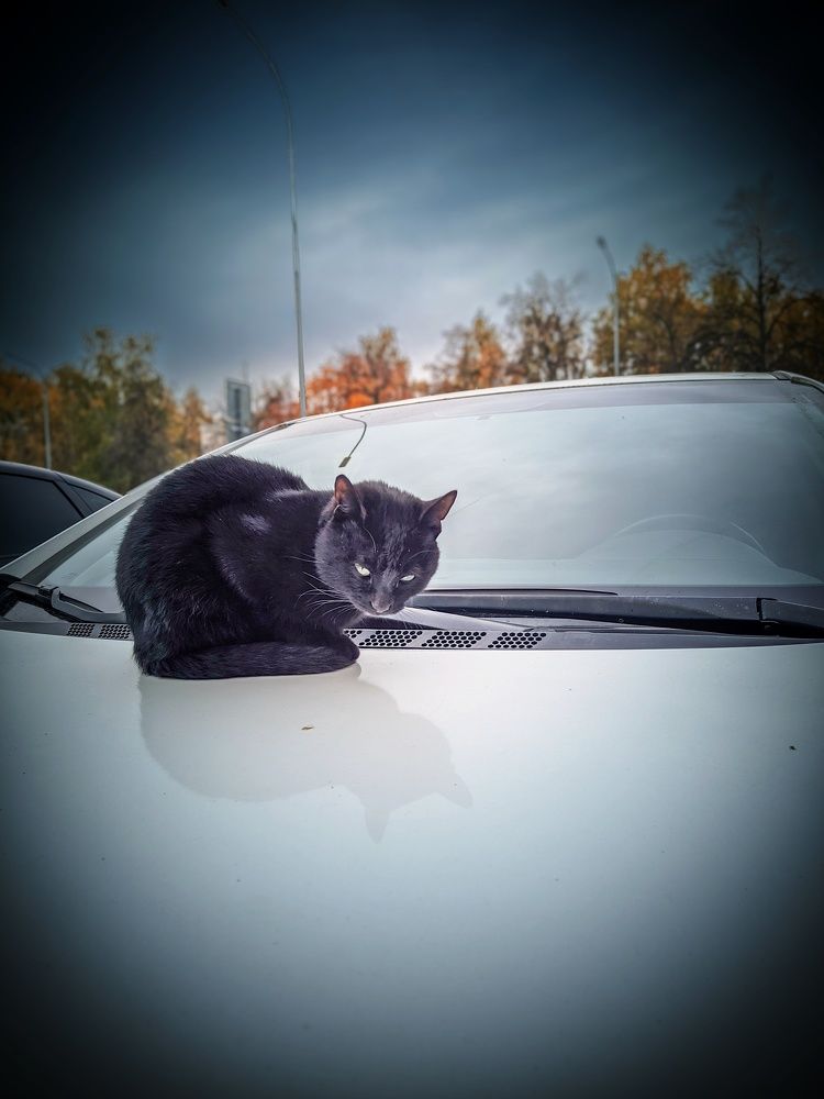 Photograph by Олега Тор