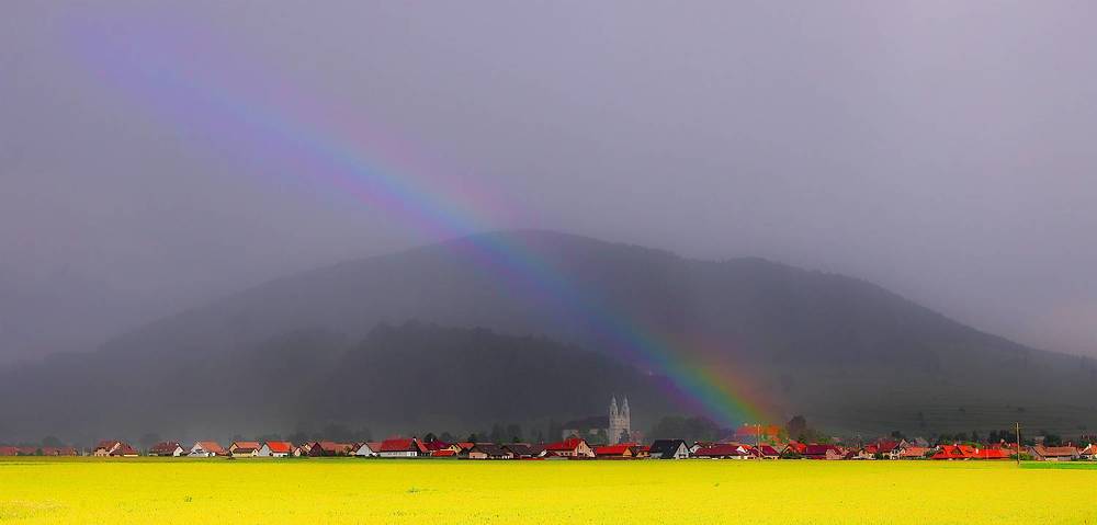 Rapeseed and rainbow