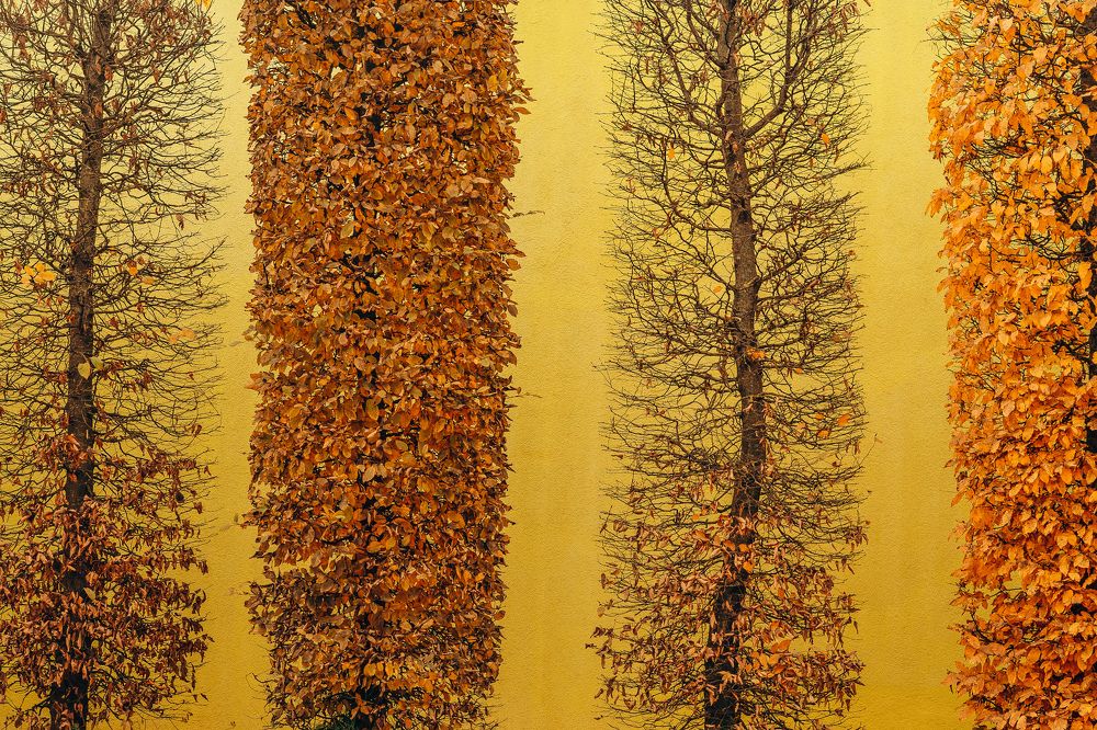 Фотография автора Татьяна Тур