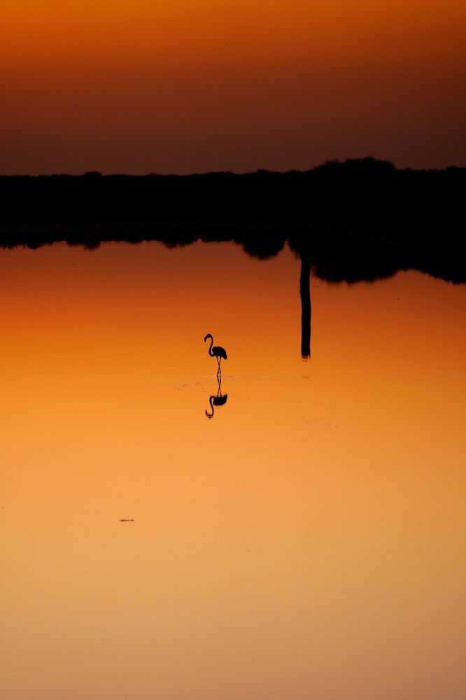 Photograph by Mário C.