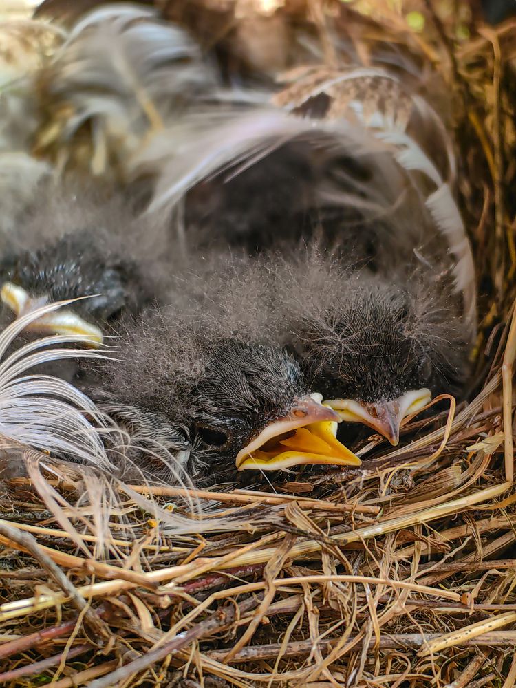 Фотография автора Ольга Панасюк