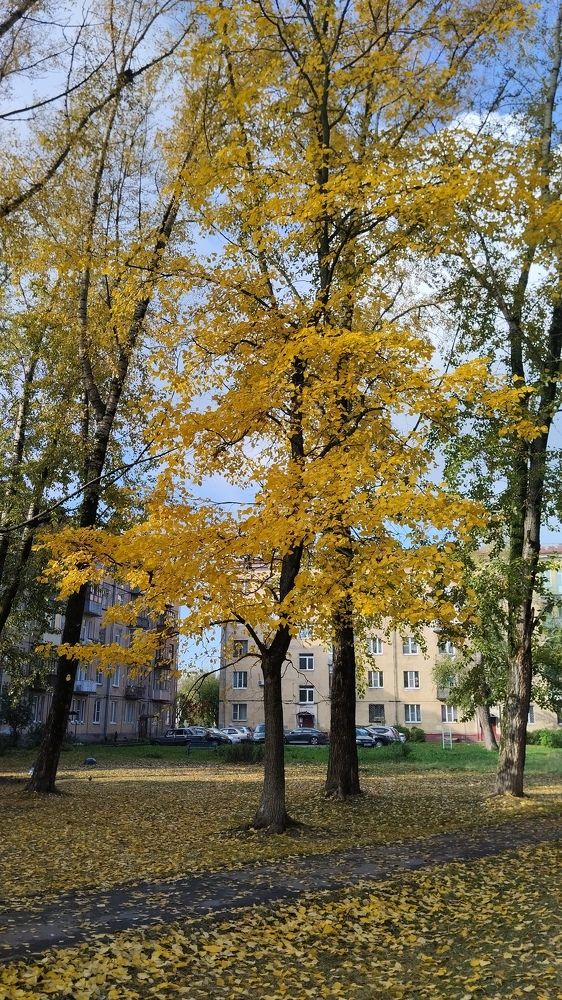 Photograph by Елена Малкова