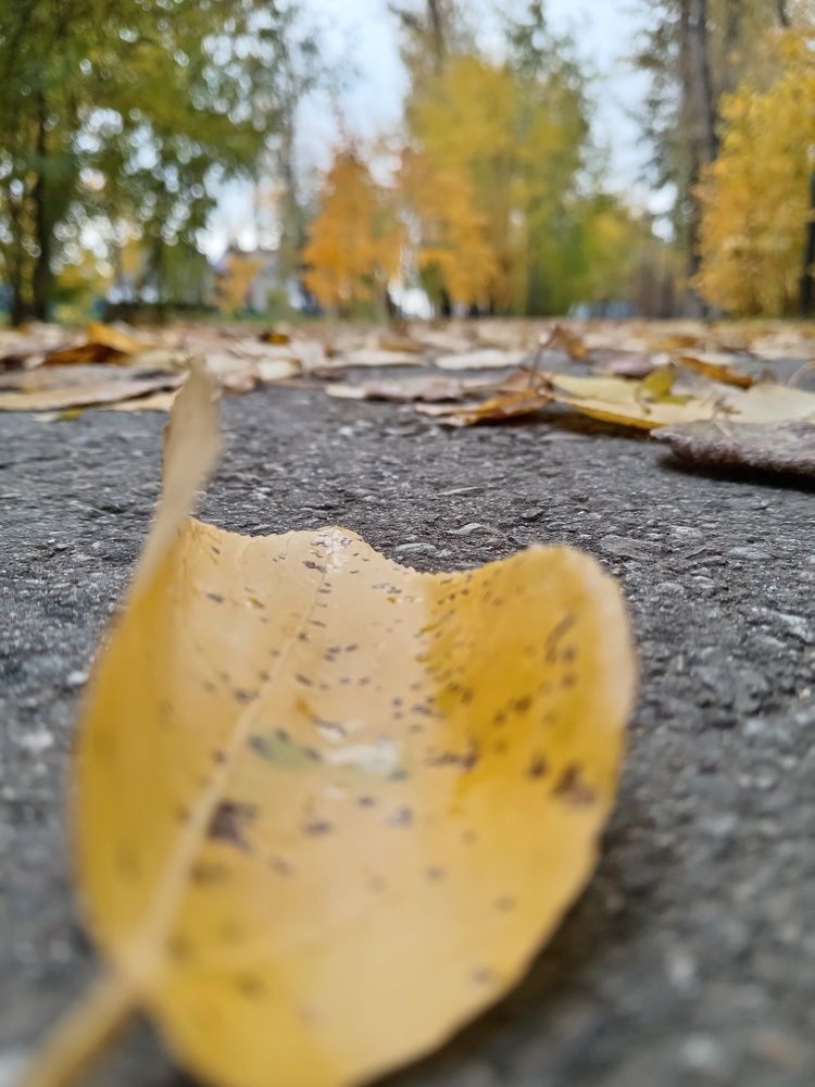 Photo #11125325