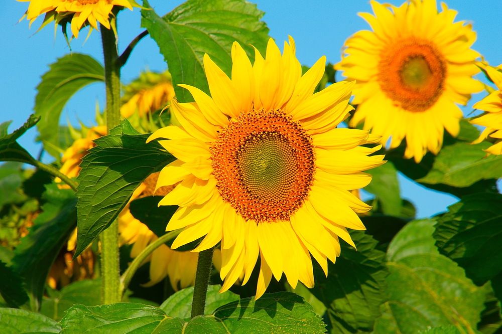 Photograph by Василий Быстрицкий