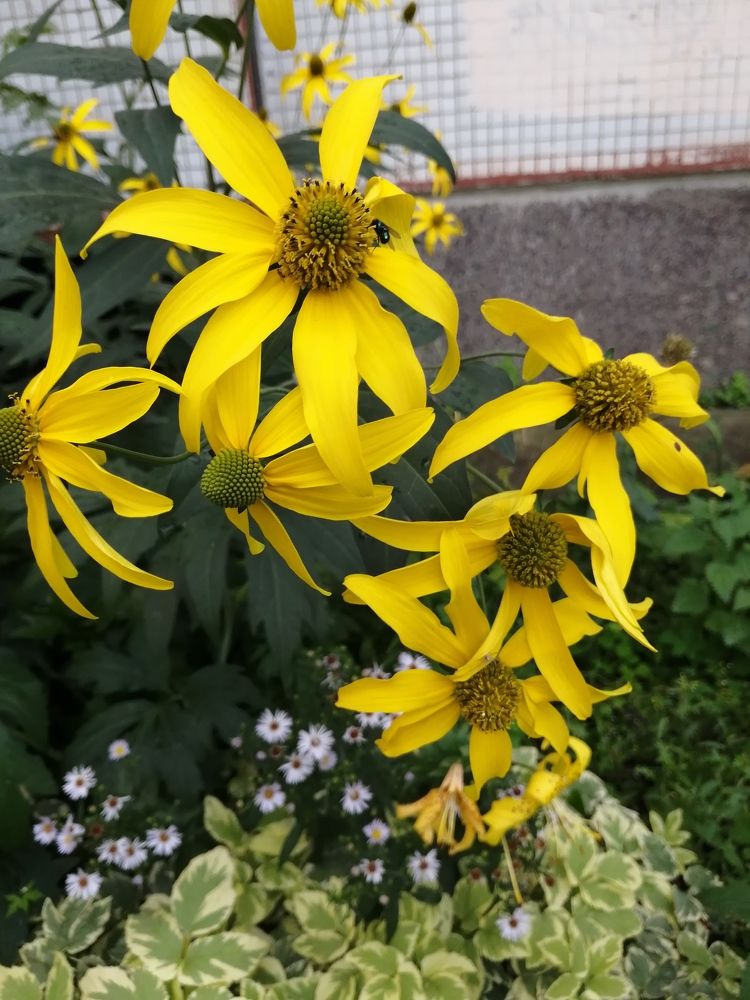 Photograph by Наталия