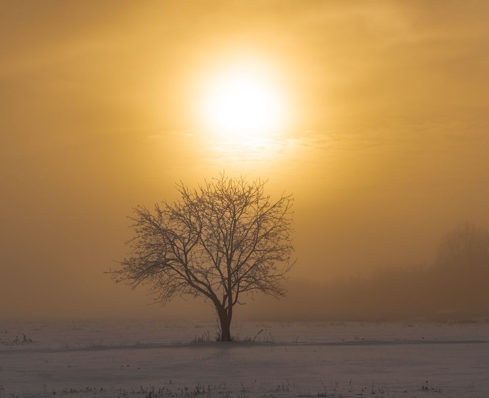 Фотография автора Григорьев Константин