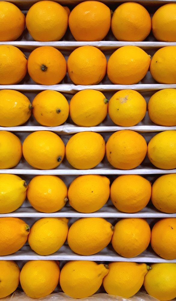 Photograph by Наталия Карни