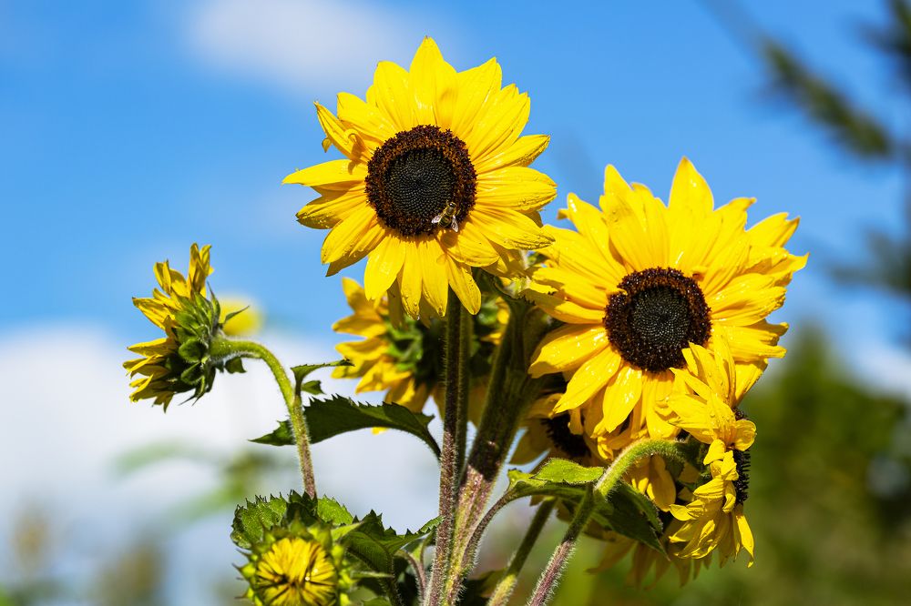 Photograph by Иван Логвинов