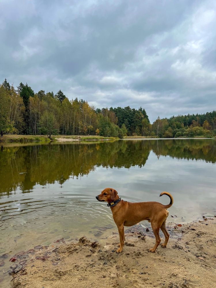 Photograph by Анастасия Германова