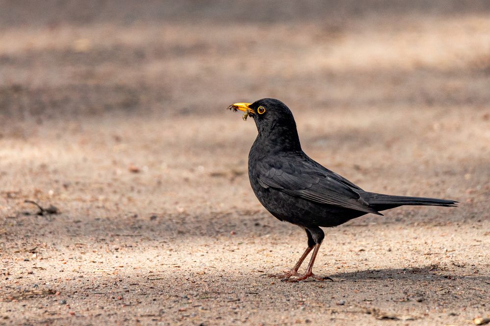 Photograph by Дмитрий Константинов