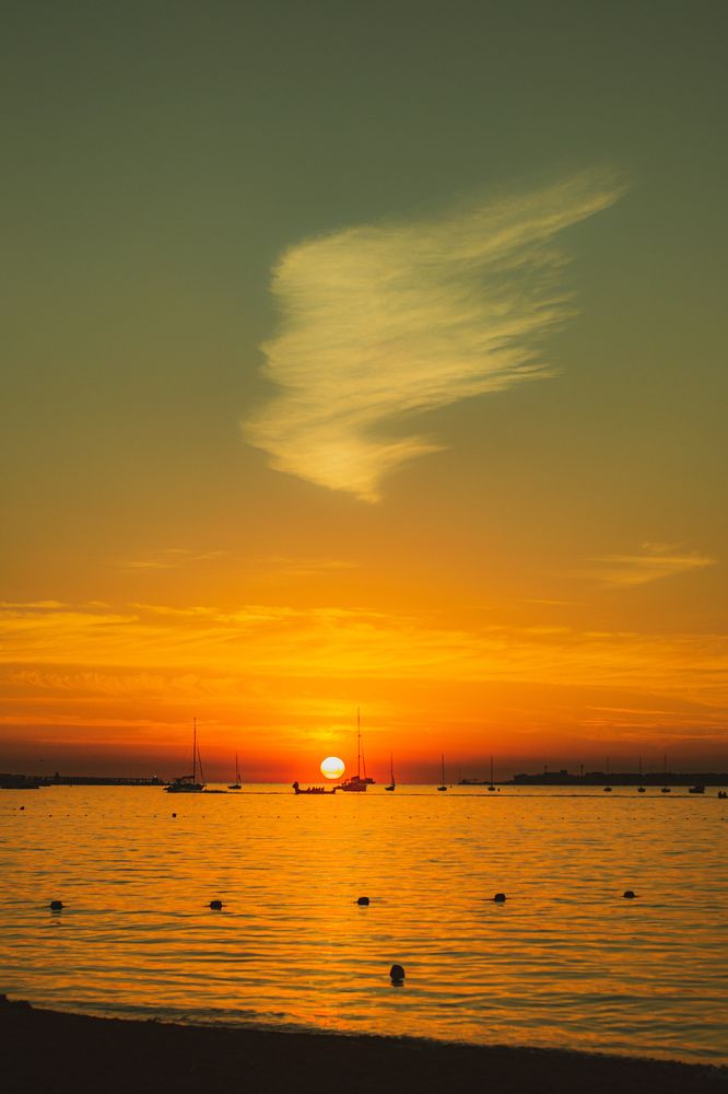 Photograph by Magic Helios