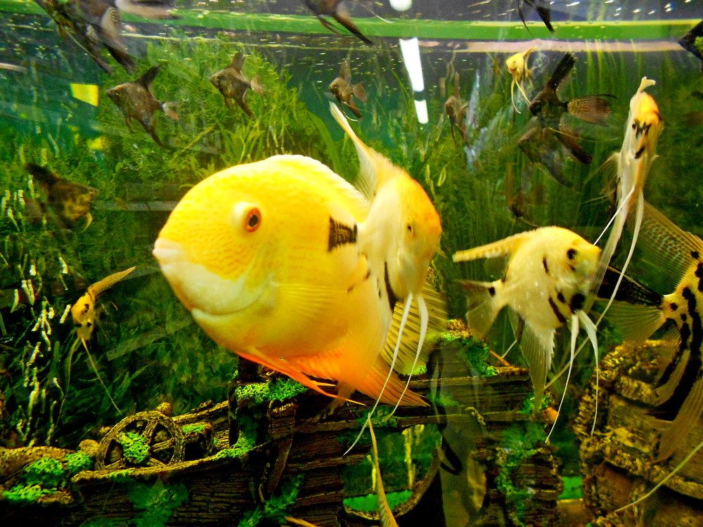 Photograph by Елена Казарина