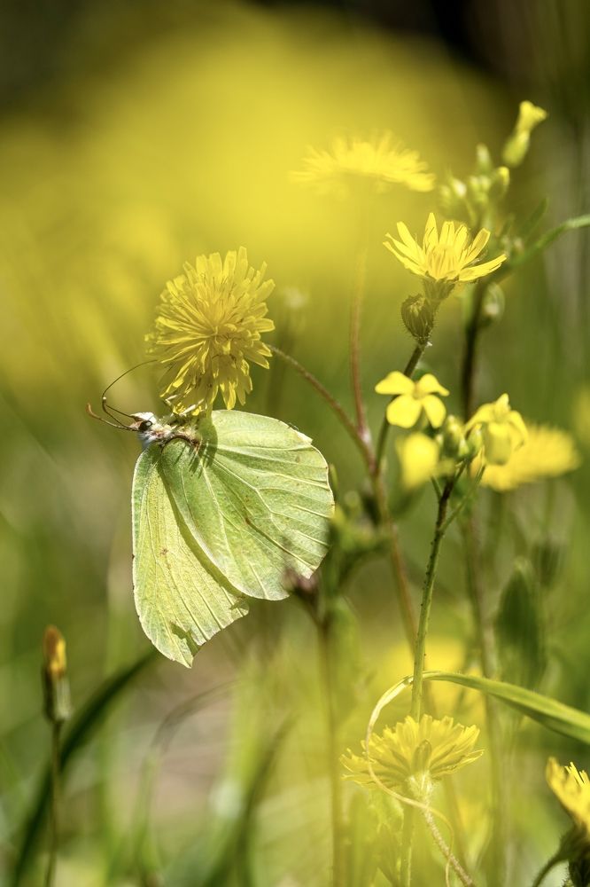Photograph by Наталия Курищева