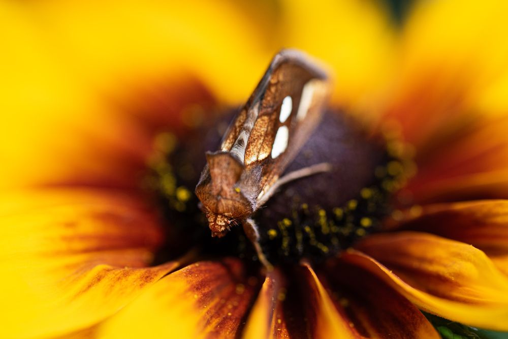 Photograph by Наталия Курищева