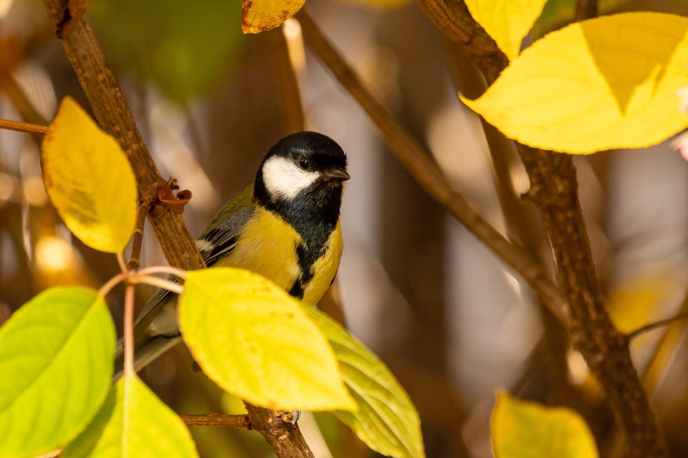 Photograph by Наталия Курищева