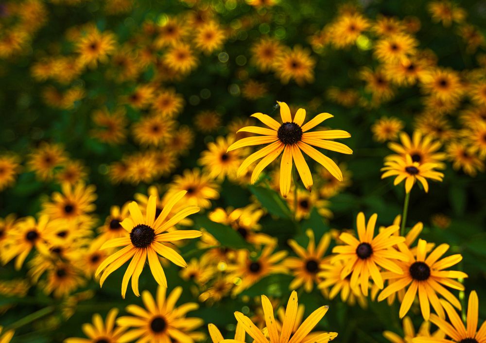 Photograph by Артур Нариманян