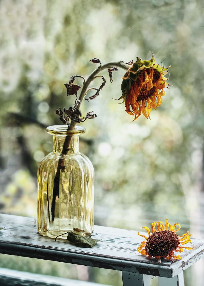 Фотография автора Svetlana Inyusheva