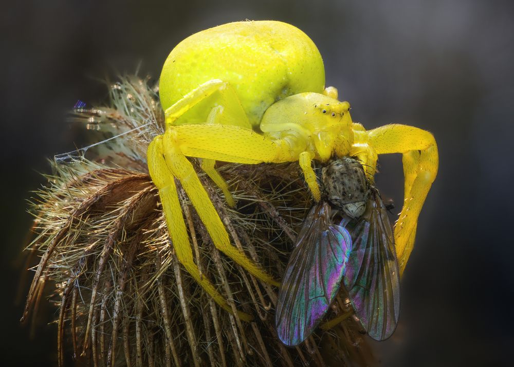 Photograph by Кузнецов Дмитрий