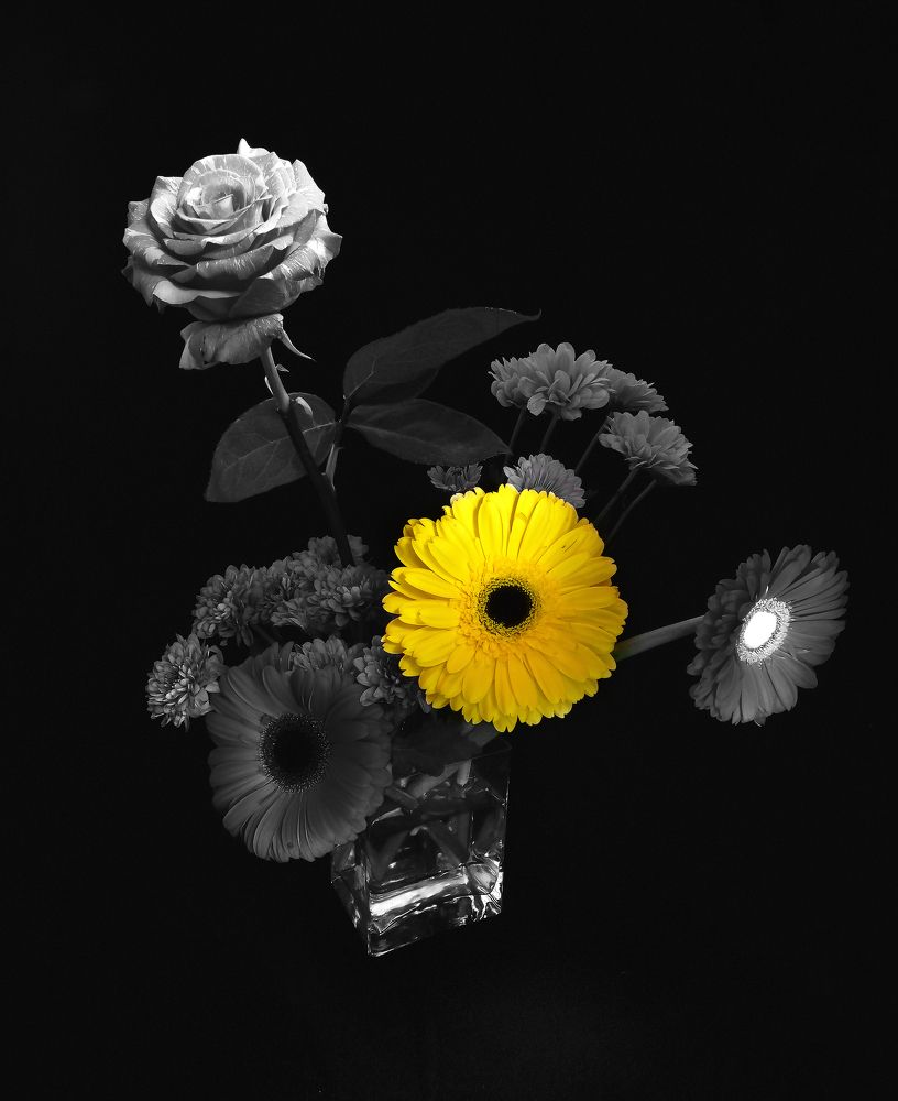 Photograph by Владимир Владимир