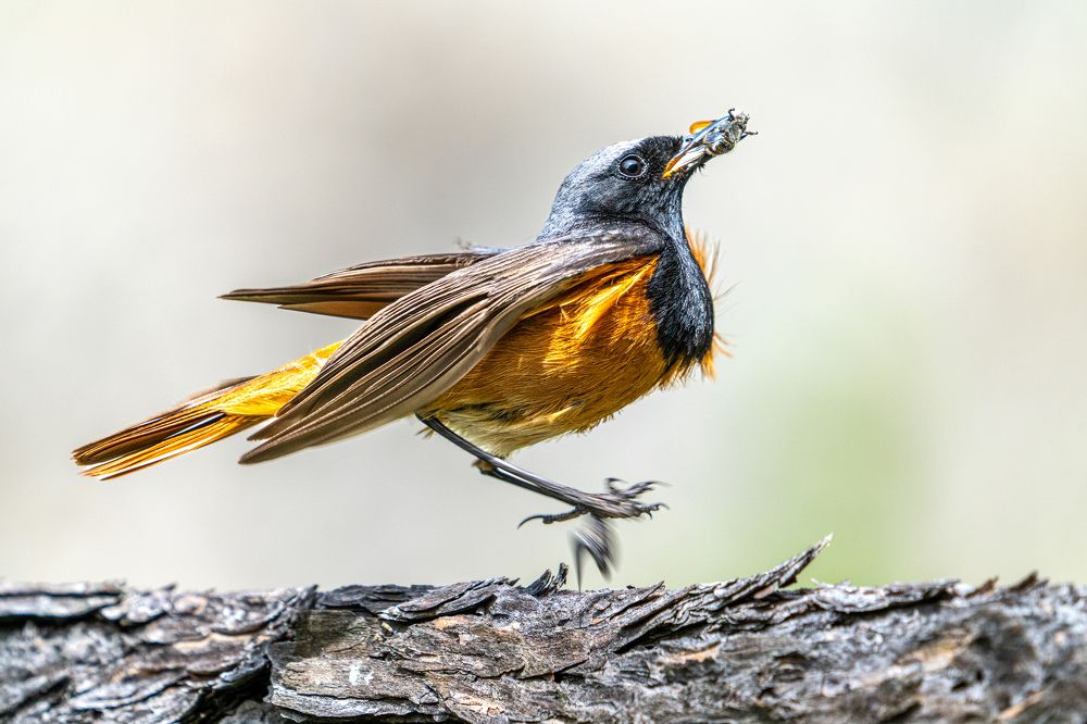 Приземление.