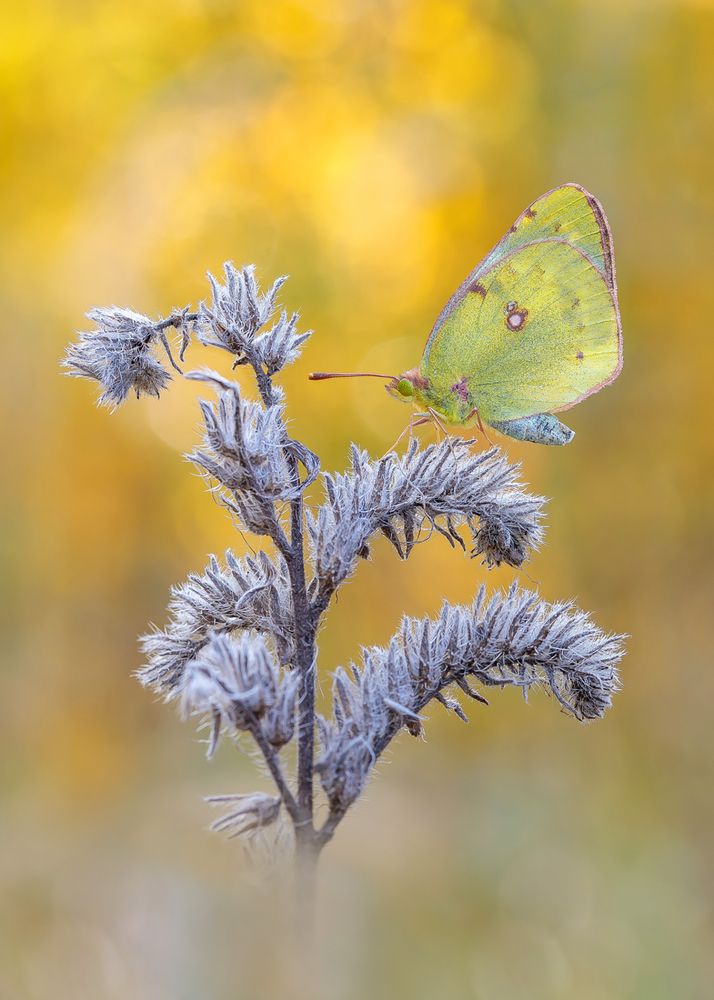 Photograph by Кузнецов Дмитрий