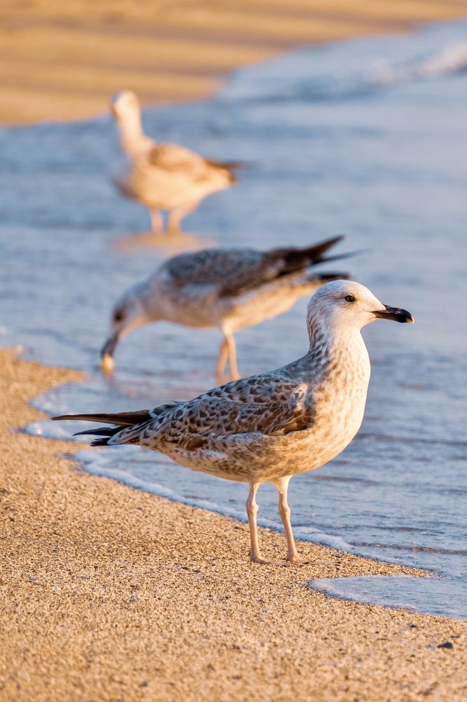 Photograph by Дулова Анастасия