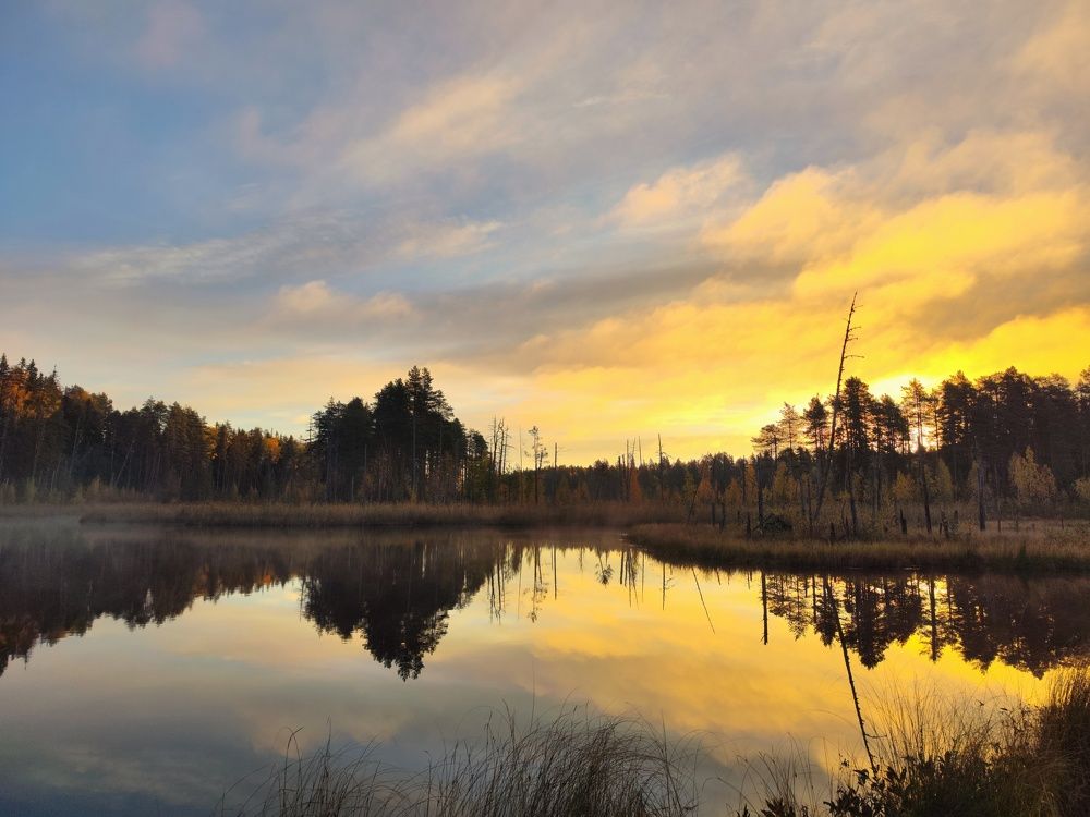 Photograph by Lev Kaufman