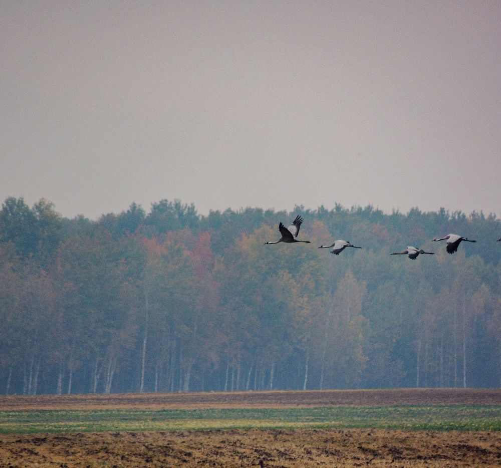 Photograph by Наталья Балабанова