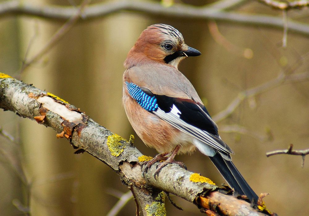 Photograph by Наталья Екимова