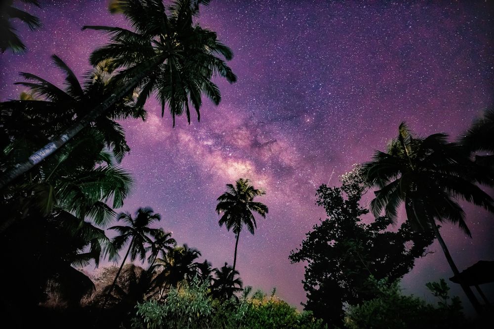 Фотография автора Jayesh Rajput