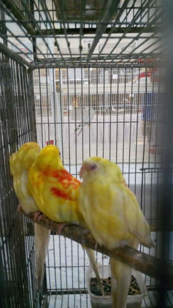 Photograph by Neel Bonna