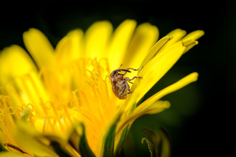 Photograph by Бодрягин Виталий