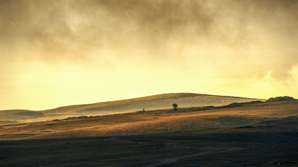 Photograph by Aleksandr Solovev