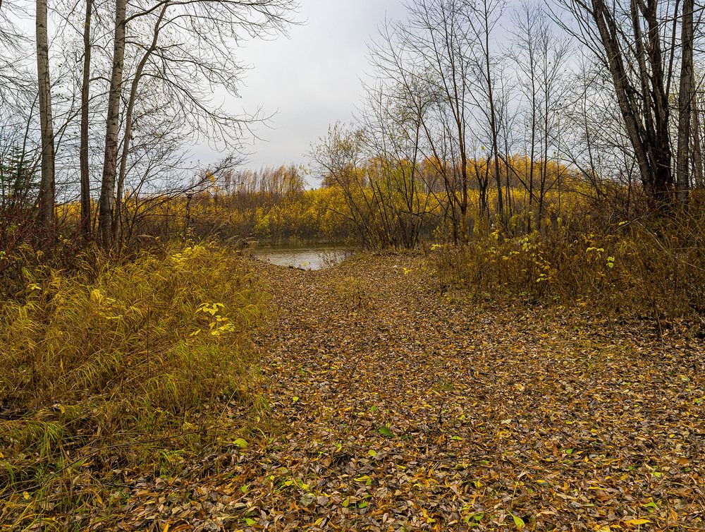 Октябрь уж наступил