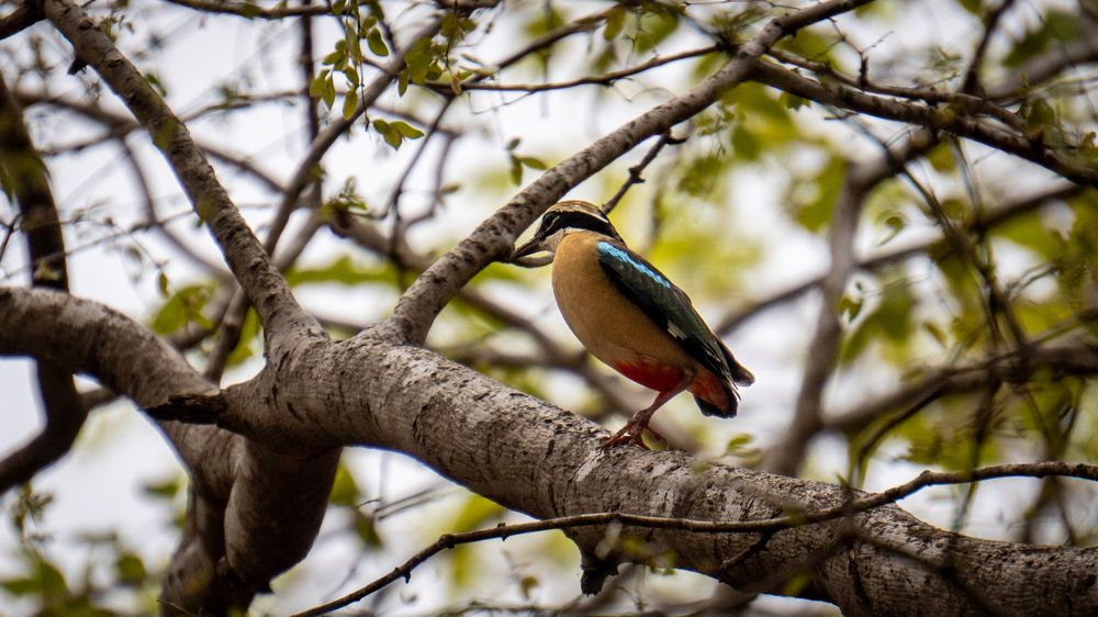 Photograph by Aryan Bhutani