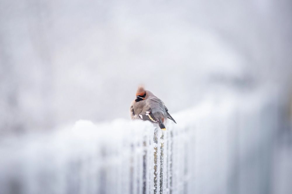 Photograph by Татьяна Рыбцева