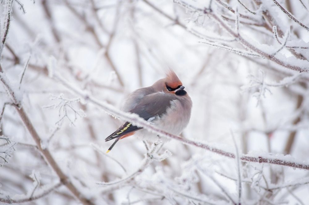 Photograph by Татьяна Рыбцева