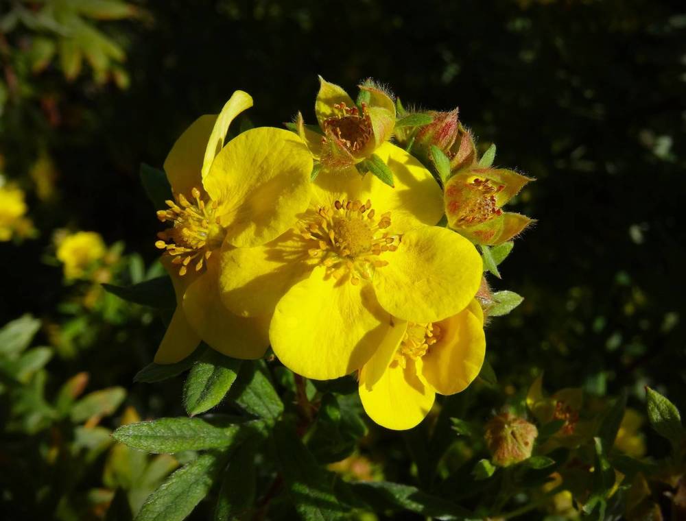 Photograph by Марина Раткун