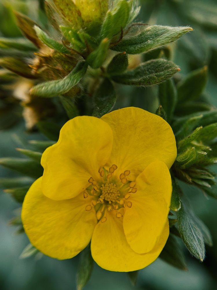 Photograph by Елена Цацулина