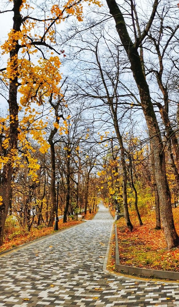 Photograph by Любовь Колмакова