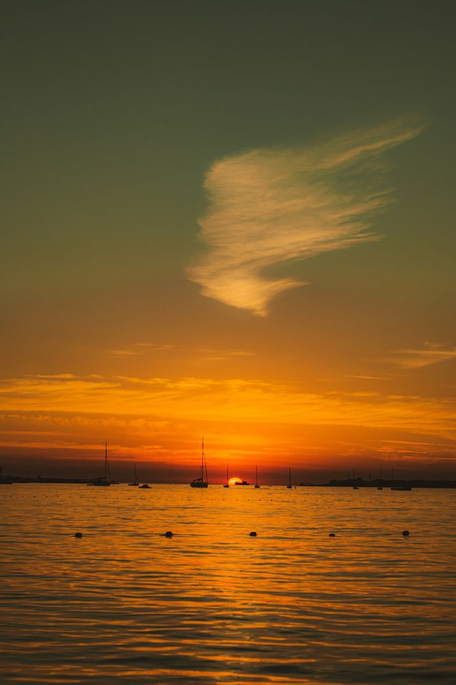 Photograph by Magic Helios