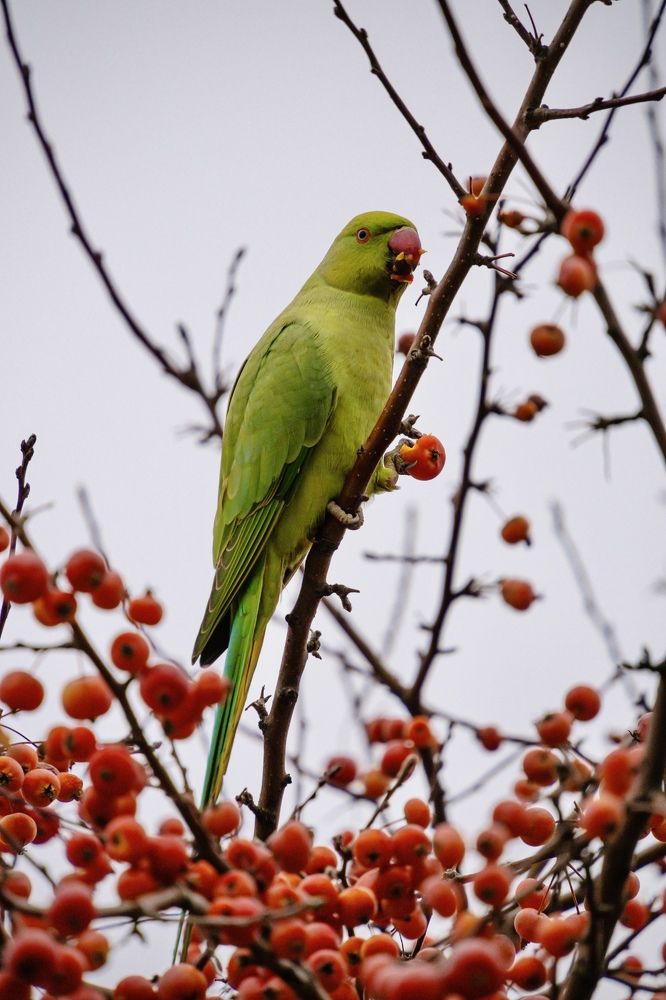 Photograph by Дулова Анастасия