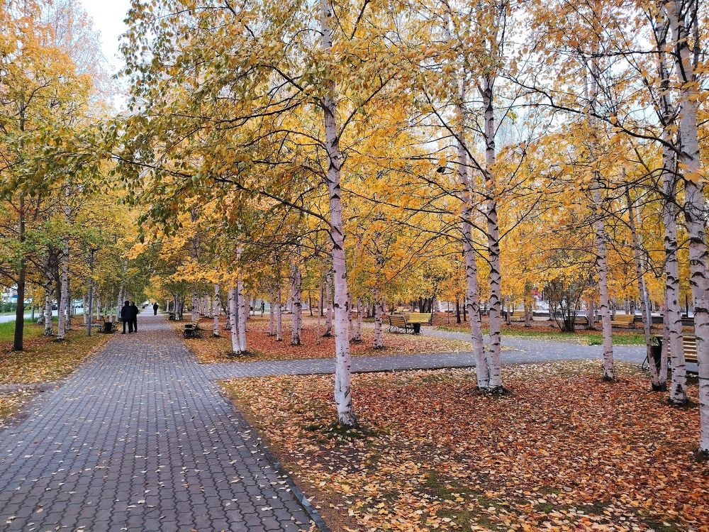 Photograph by Виталий Са