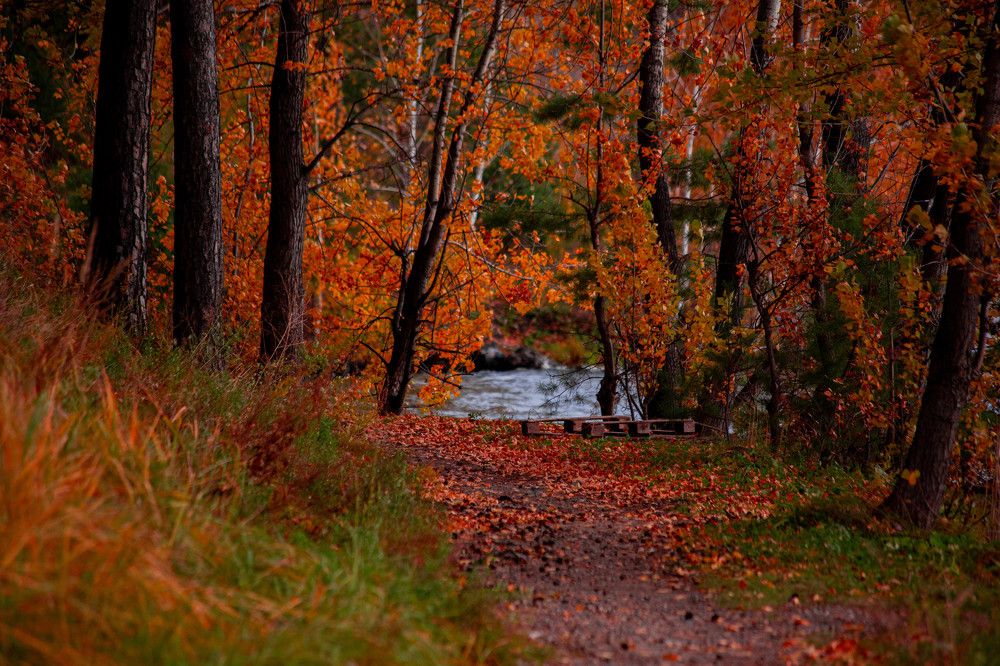 Photograph by Евгений Авдеев