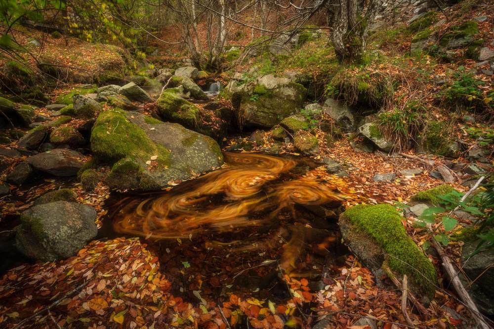 Photograph by Josema Dieguez Rodriguez