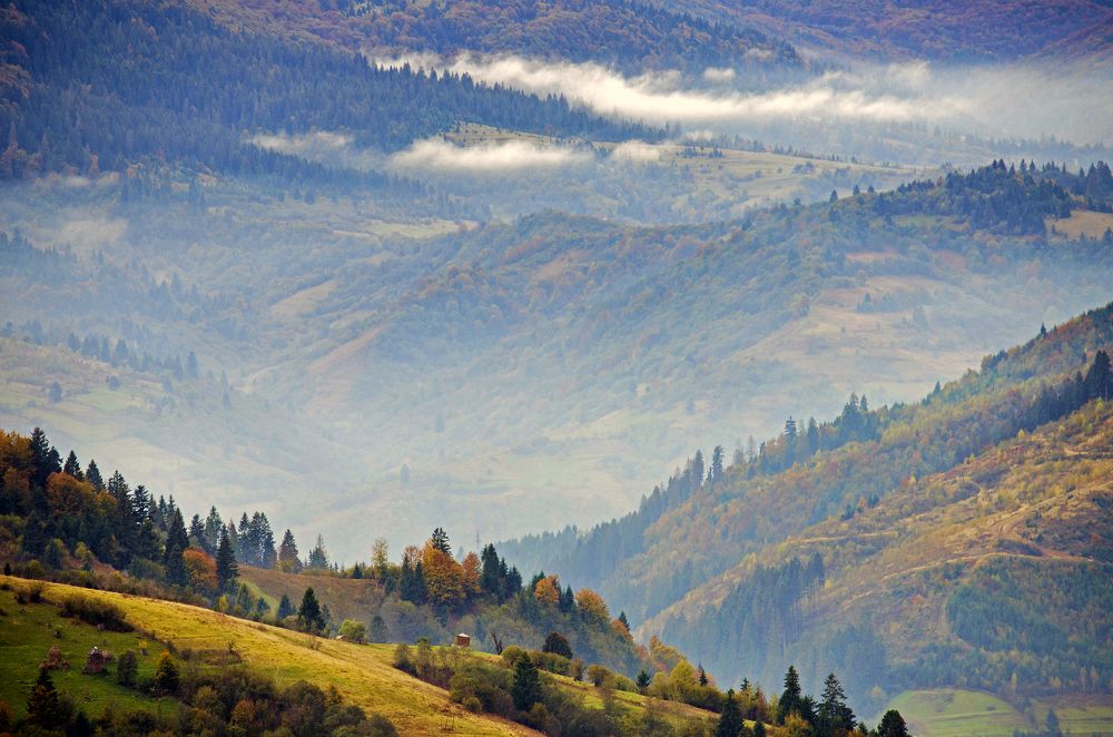 Осенний джаз