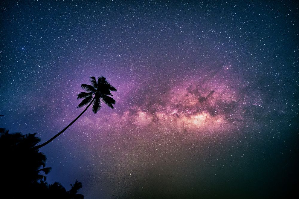 Фотография автора Jayesh Rajput